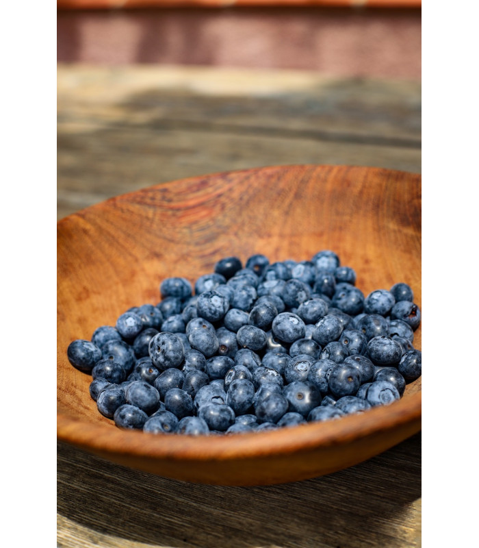 Organic Blueberries From Priorat